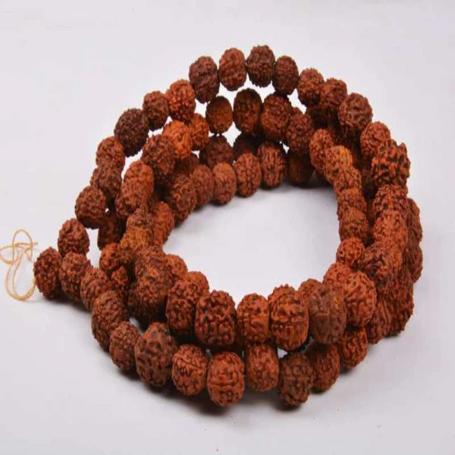 Panchmukhi Rudraksh Jaap Mala (108+1Beads)