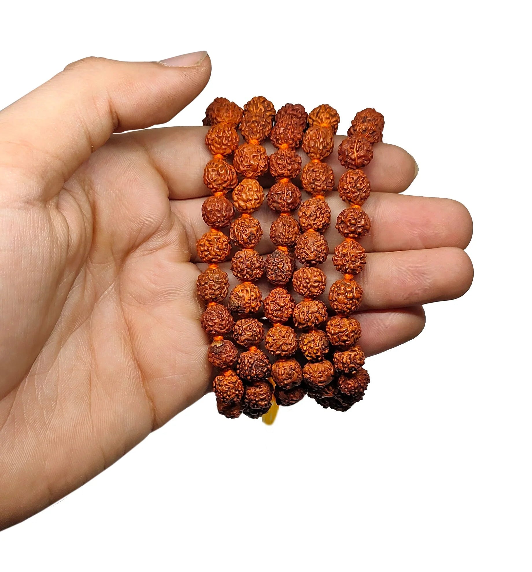 Panchmukhi Rudraksh Jaap Mala (108+1Beads)